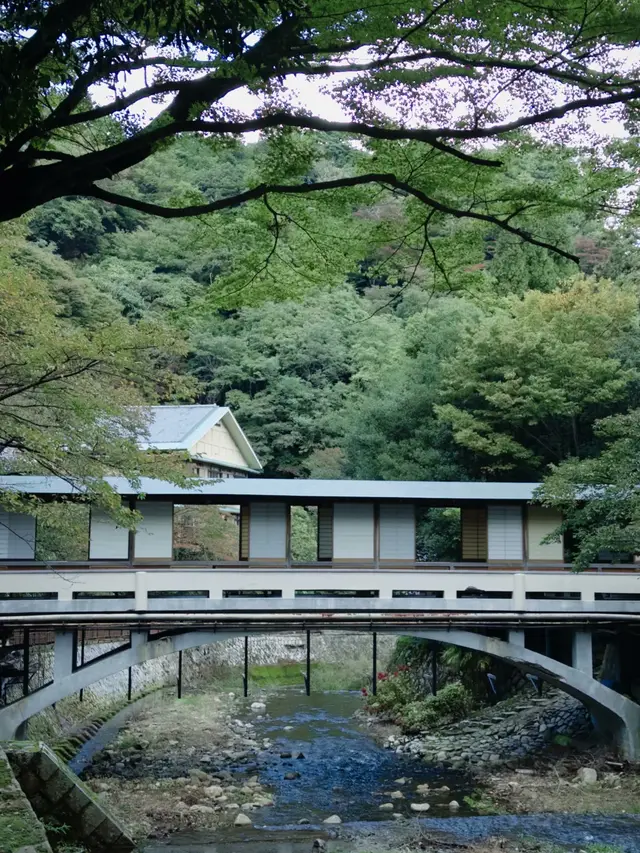 有马川溪流与廊桥，背后是青绿山林的温泉乡景色