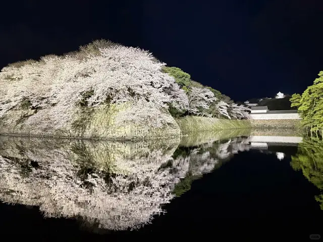 夜樱石垣倒映在护城河，远处可见天守