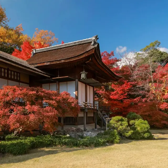红叶环绕的山庄主屋，蓝天草坪