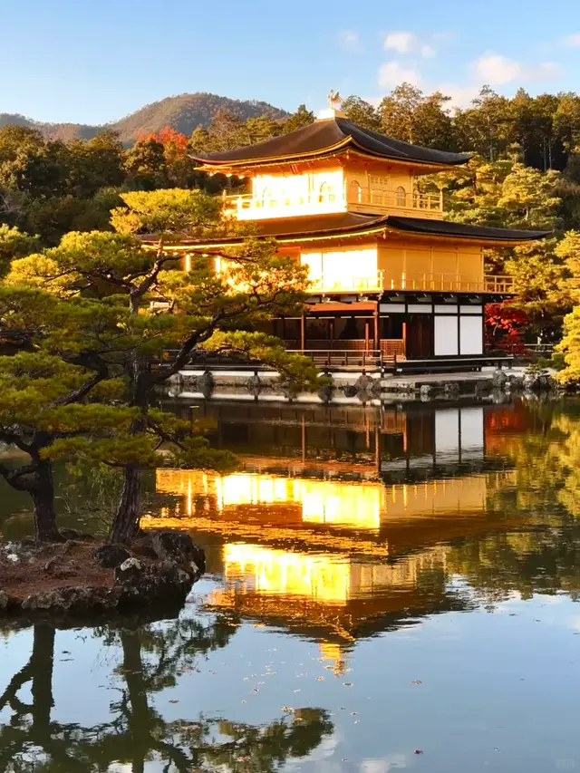 晴天镜湖池里金阁与松树的完整倒影