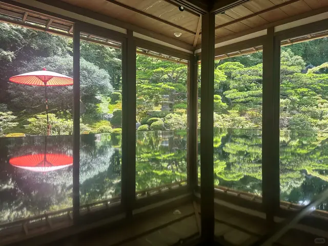 书院窗外庭园倒映在地板上，红伞点缀，最有代表性的“床绿”画面