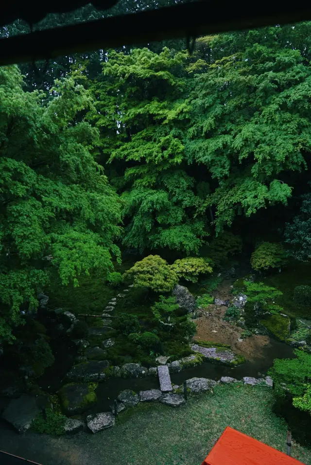 从屋檐下俯看青苔庭园与飞石