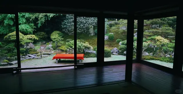 昏暗室内望向庭园，红毯长椅