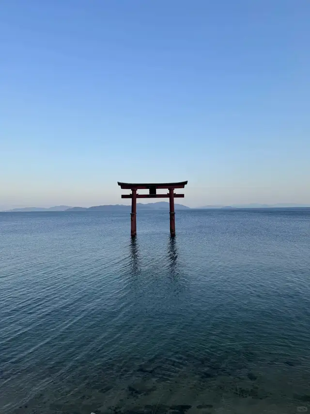 湖水中的朱红大鸟居，水面平静，最标志性的一张