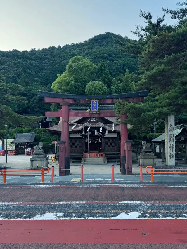 马路对面的神社正门鸟居与拜殿，背靠青山