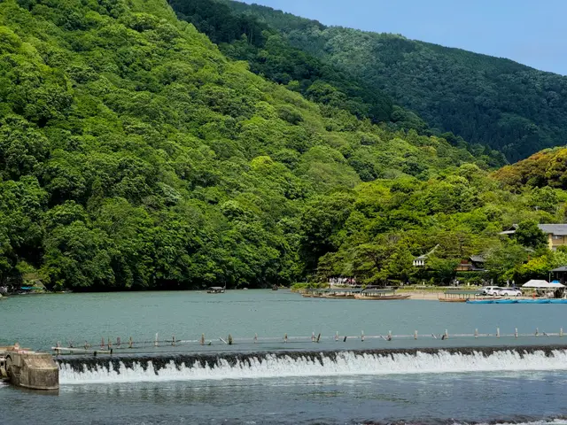 渡月桥上游大堰川的堰坝、游船和岚山山体